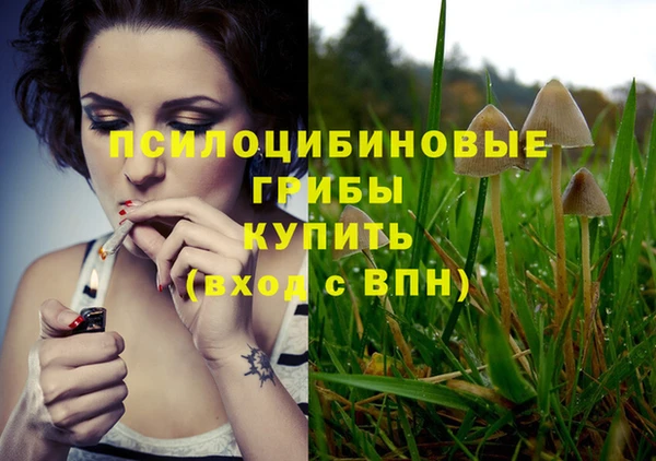 герыч Алзамай
