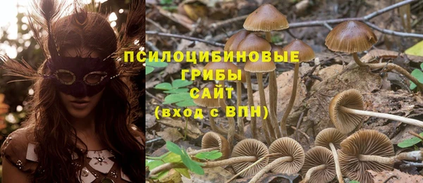 молекула духа Нефтекумск