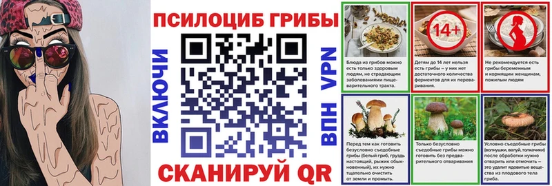 купить наркоту  Анива  Псилоцибиновые грибы мицелий 